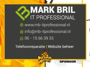 MB IT Professional