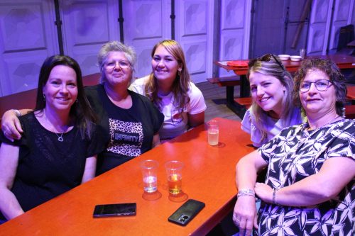 Kermiskantine: Darten, Puzzelen en Borrelen